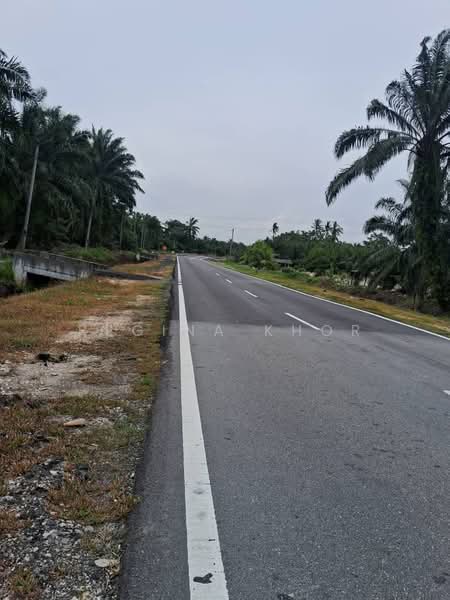 Agricultural Land for Sale in Sungai Karang (Johor) - Regina Khor - PropertyGuru.com.my