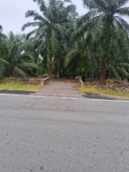 Agricultural Land for Sale in Sungai Karang (Johor) - Regina Khor - PropertyGuru.com.my