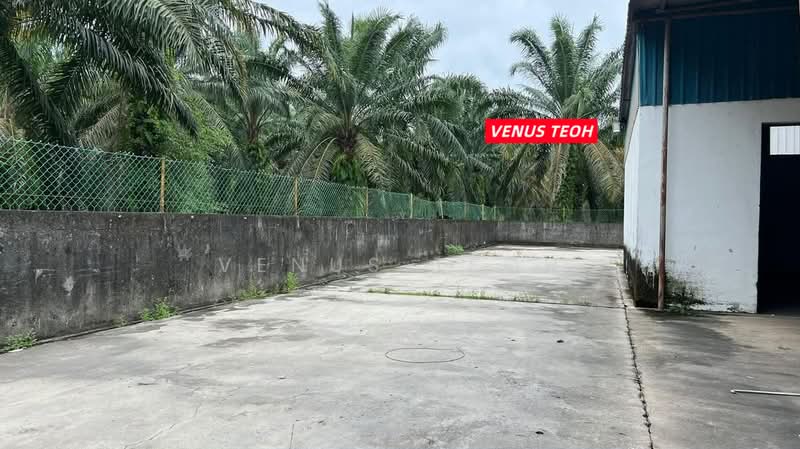 Kilang untuk Disewa di Nibong Tebal (Penang) - Venus Teoh - PropertyGuru.com.my