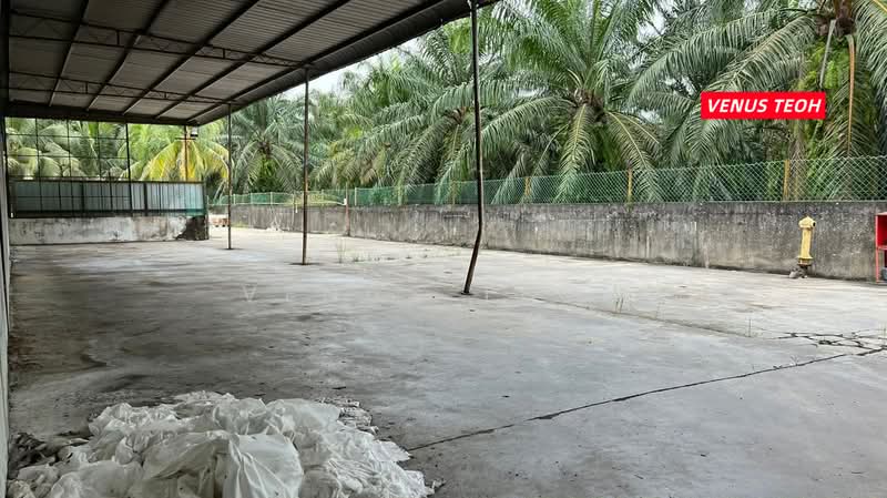 Kilang untuk Disewa di Nibong Tebal (Penang) - Venus Teoh - PropertyGuru.com.my