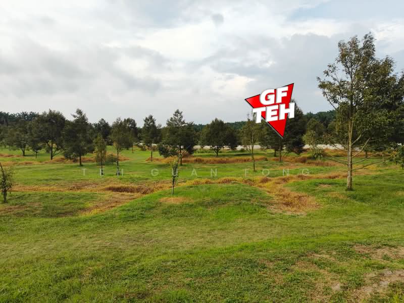 Tanah Pertanian untuk Dijual di Bandar Baharu (Kedah) - Teh Guan Fong - Garden - PropertyGuru.com.my