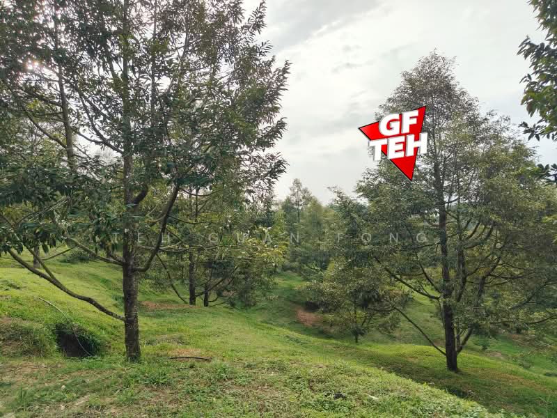 Tanah Pertanian untuk Dijual di Bandar Baharu (Kedah) - Teh Guan Fong - Exterior - PropertyGuru.com.my