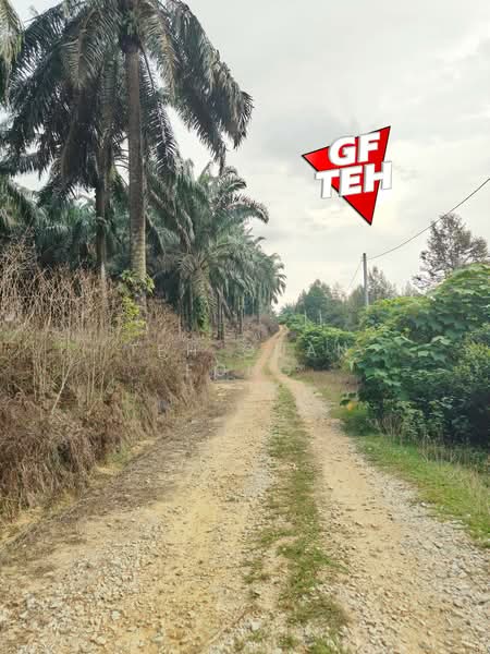 Tanah Pertanian untuk Dijual di Bandar Baharu (Kedah) - Teh Guan Fong - Exterior - PropertyGuru.com.my