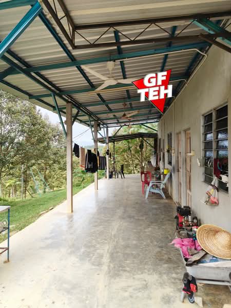 Tanah Pertanian untuk Dijual di Bandar Baharu (Kedah) - Teh Guan Fong - Exterior - PropertyGuru.com.my