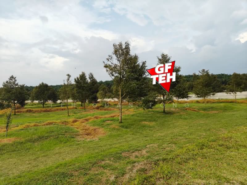 Tanah Pertanian untuk Dijual di Bandar Baharu (Kedah) - Teh Guan Fong - Garden - PropertyGuru.com.my