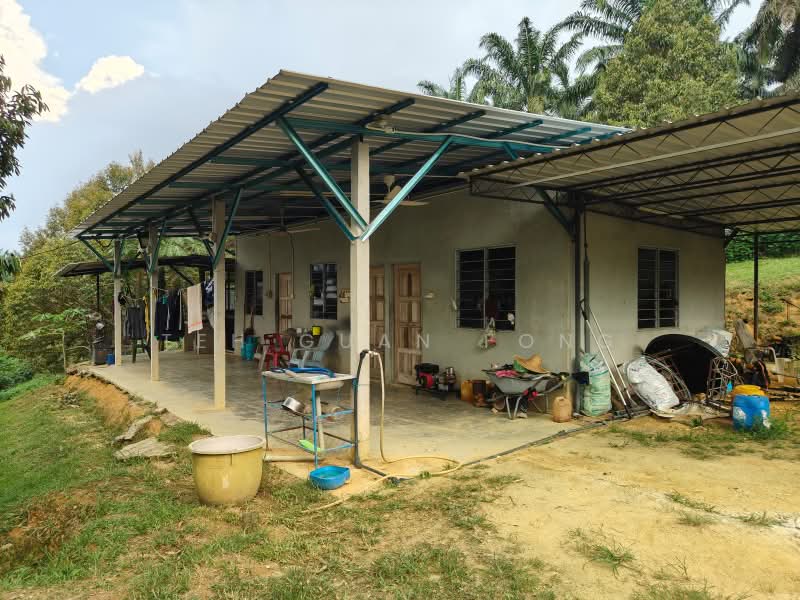 Tanah Pertanian untuk Dijual di Bandar Baharu (Kedah) - Teh Guan Fong - Exterior - PropertyGuru.com.my