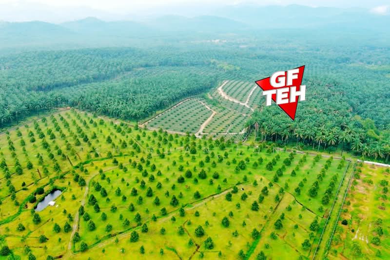 Tanah Pertanian untuk Dijual di Bandar Baharu (Kedah) - Teh Guan Fong - Exterior - PropertyGuru.com.my