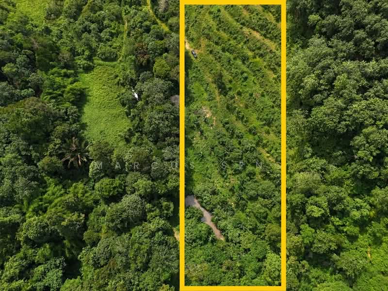 Tanah Pertanian untuk Dijual di Kampung Baru Liman Kati (Kuala Kangsar) - Marcus Seng - Exterior - PropertyGuru.com.my