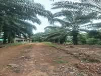 For Sale - Kampung Batu Bor