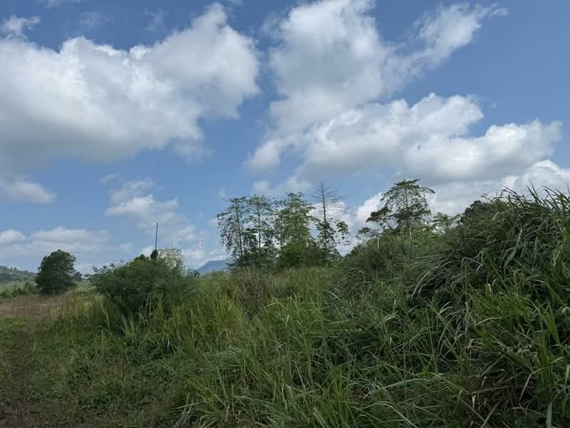 Agricultural Land for Sale in Kota Tinggi (Johor) - Kelly Wai - Exterior - PropertyGuru.com.my