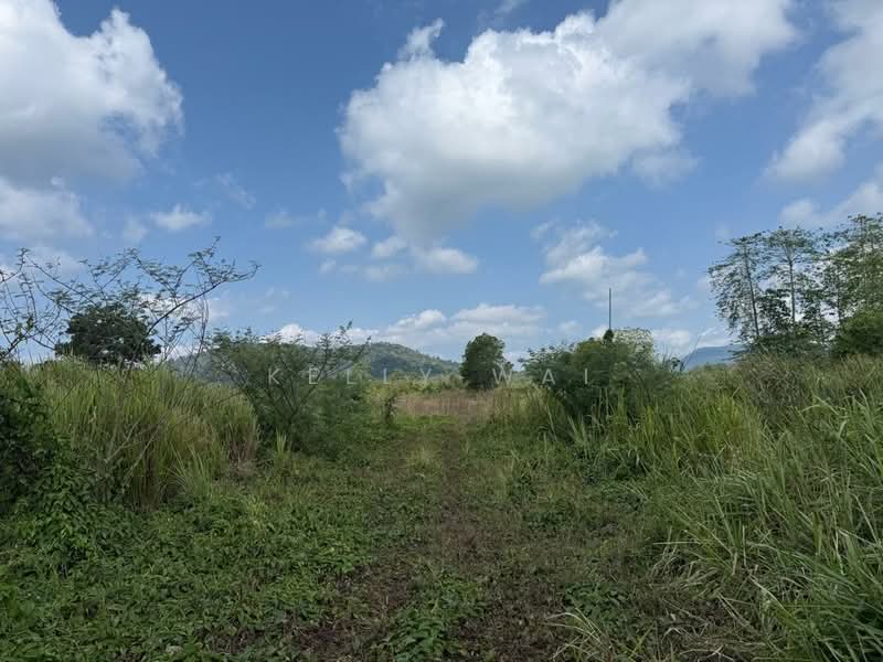 Agricultural Land for Sale in Kota Tinggi (Johor) - Kelly Wai - Exterior - PropertyGuru.com.my