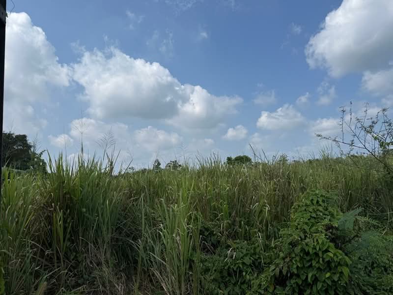 Agricultural Land for Sale in Kota Tinggi (Johor) - Kelly Wai - Exterior - PropertyGuru.com.my