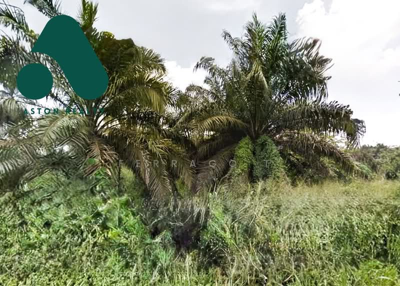 Tanah Perindustrian untuk Dijual di Sungai Bakap (Penang) - Ferrago T - PropertyGuru.com.my