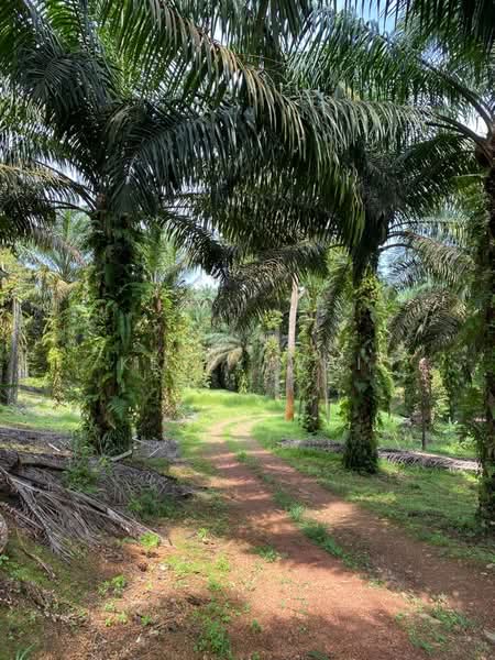 Agricultural Land for Sale in Senai (Kulai) - Kelly Wai - Garden - PropertyGuru.com.my