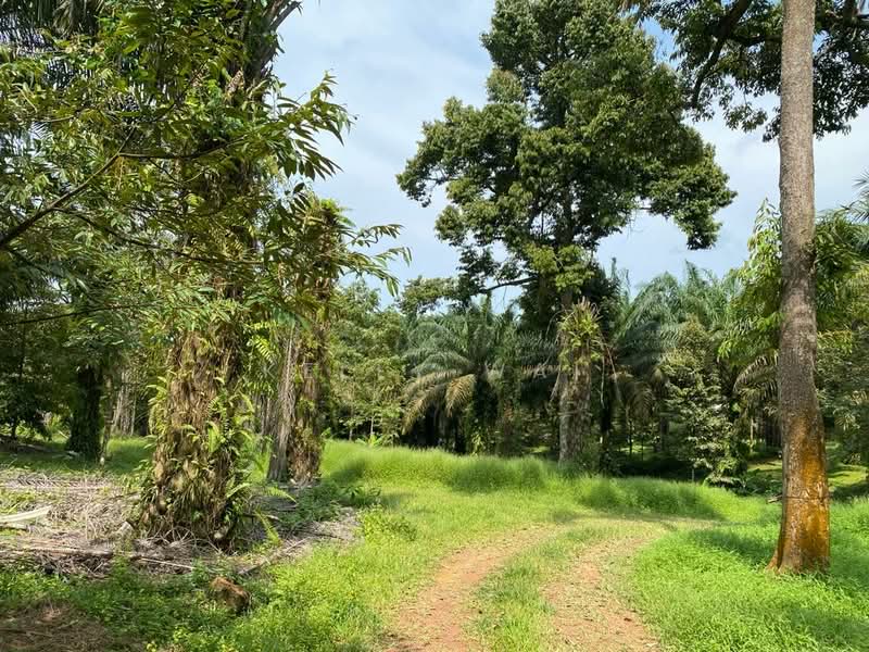 Agricultural Land for Sale in Senai (Kulai) - Kelly Wai - Exterior - PropertyGuru.com.my