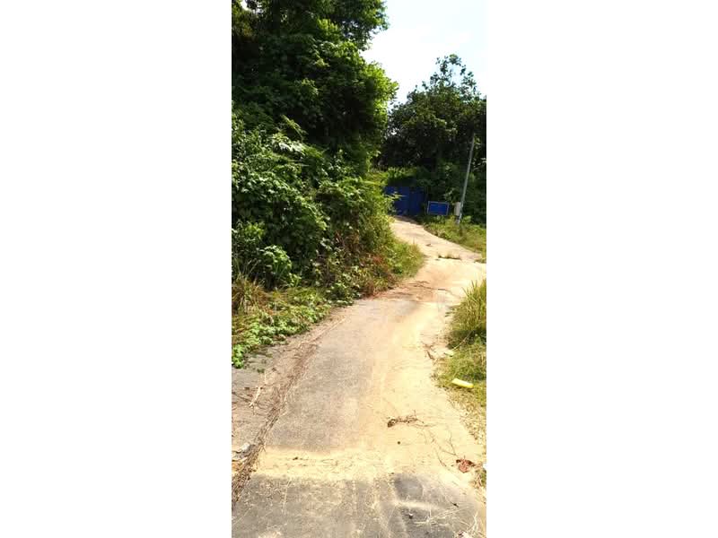 Agricultural Land for Sale in Bentong (Pahang) - Lex How - Exterior - PropertyGuru.com.my