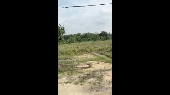 Tanah Pertanian untuk Disewa di Ulu Tiram (Johor) - Soh Seng Long - PropertyGuru.com.my