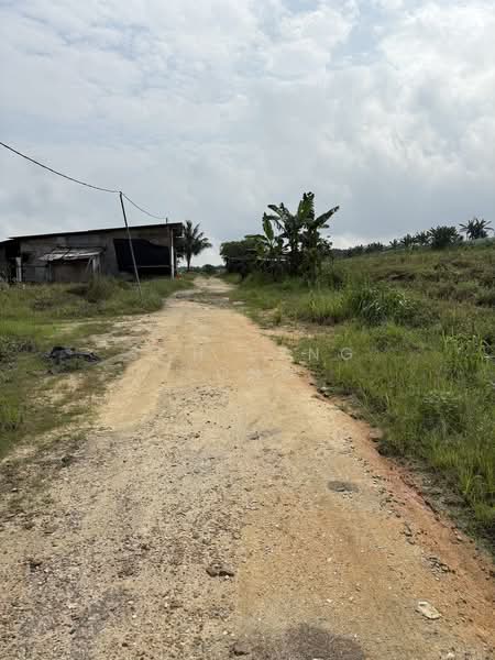 Tanah Pertanian untuk Disewa di Ulu Tiram (Johor) - Soh Seng Long - Exterior - PropertyGuru.com.my