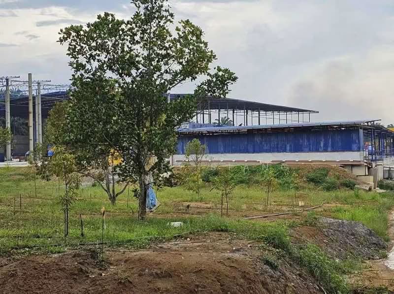 Agricultural Land for Sale in Pekan Nenas (Jeram Batu) - Lesley Siang - Exterior - PropertyGuru.com.my
