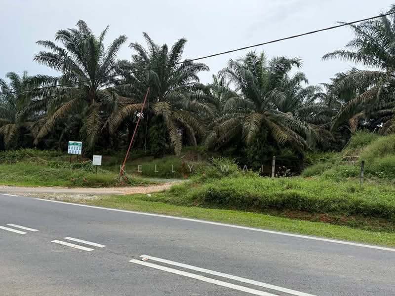 Tanah Pertanian untuk Dijual di Senai (Kulai) - Kelly Wai - Exterior - PropertyGuru.com.my