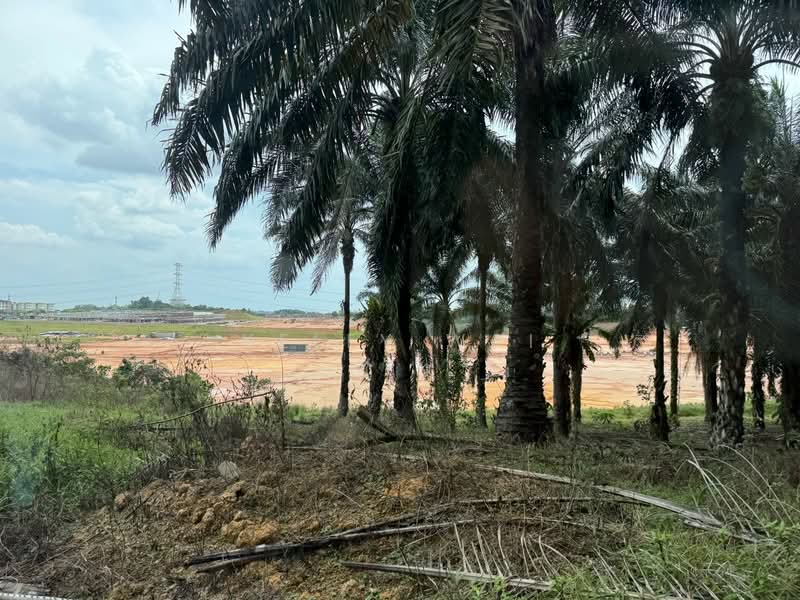Agricultural Land for Sale in Ulu Tiram (Johor) - Kelly Wai - Exterior - PropertyGuru.com.my