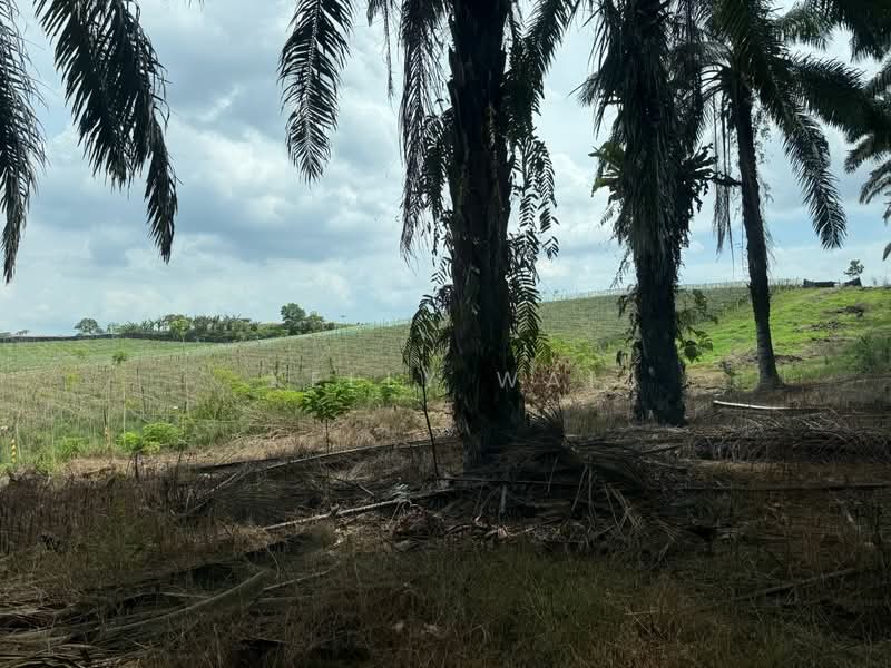 Agricultural Land for Sale in Ulu Tiram (Johor) - Kelly Wai - Exterior - PropertyGuru.com.my