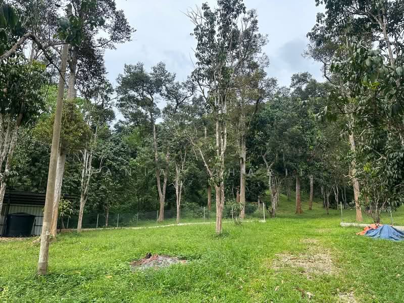Agricultural Land for Sale in Kubang Pasu (Kedah) - Danial Zharif - Exterior - PropertyGuru.com.my