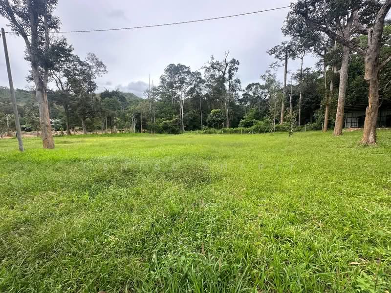 Agricultural Land for Sale in Kubang Pasu (Kedah) - Danial Zharif - PropertyGuru.com.my