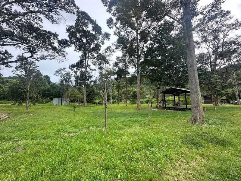 Agricultural Land for Sale in Kubang Pasu (Kedah) - Danial Zharif - PropertyGuru.com.my