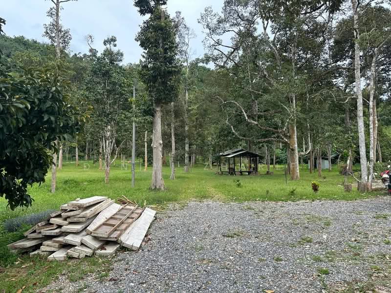 Agricultural Land for Sale in Kubang Pasu (Kedah) - Danial Zharif - PropertyGuru.com.my
