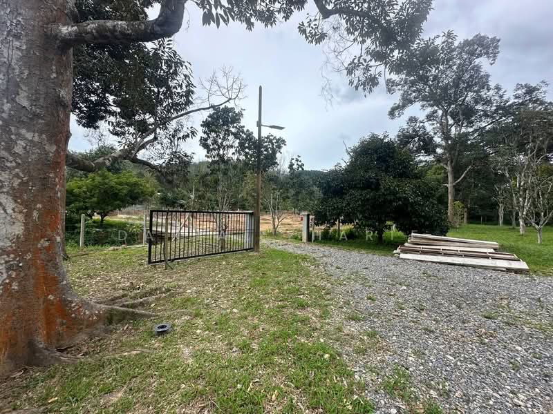 Agricultural Land for Sale in Kubang Pasu (Kedah) - Danial Zharif - PropertyGuru.com.my
