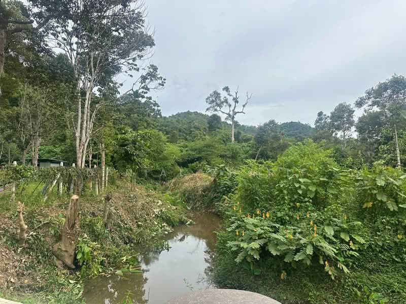 Agricultural Land for Sale in Kubang Pasu (Kedah) - Danial Zharif - PropertyGuru.com.my