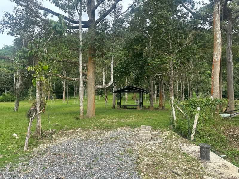 Agricultural Land for Sale in Kubang Pasu (Kedah) - Danial Zharif - PropertyGuru.com.my