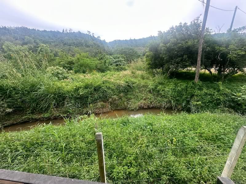 Agricultural Land for Sale in Kubang Pasu (Kedah) - Danial Zharif - PropertyGuru.com.my