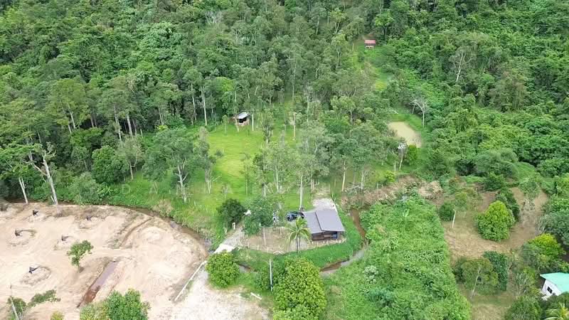 Agricultural Land for Sale in Kubang Pasu (Kedah) - Danial Zharif - PropertyGuru.com.my