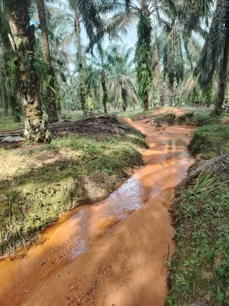 Agricultural Land for Sale in Taman Mawai (Kota Tinggi) - Kelly Wai - Exterior - PropertyGuru.com.my
