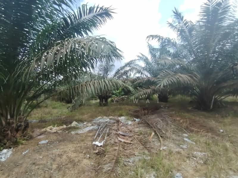 Agricultural Land for Sale in Taman Mawai (Kota Tinggi) - Kelly Wai - Exterior - PropertyGuru.com.my
