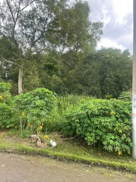 Tanah Pertanian untuk Dijual di Klang (Selangor) - Victoria Chew - Exterior - PropertyGuru.com.my