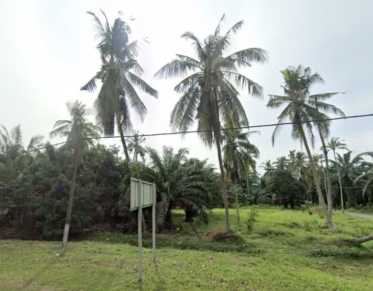 Tanah Pertanian untuk Dijual di Kukup (Johor) - Sky Tan - Exterior - PropertyGuru.com.my