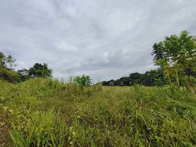Agricultural Land for Sale in Kempas (Johor Bahru) - Kelly Wai - Exterior - PropertyGuru.com.my