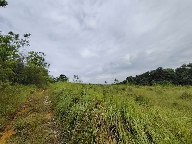 Agricultural Land for Sale in Kempas (Johor Bahru) - Kelly Wai - Exterior - PropertyGuru.com.my