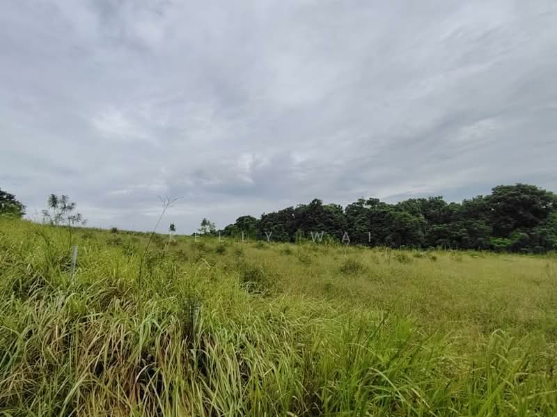 Agricultural Land for Sale in Kempas (Johor Bahru) - Kelly Wai - Exterior - PropertyGuru.com.my