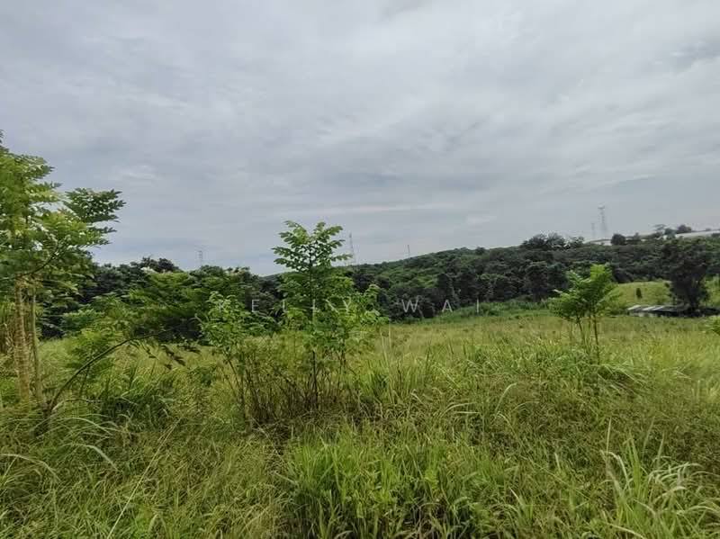 Agricultural Land for Sale in Kempas (Johor Bahru) - Kelly Wai - Exterior - PropertyGuru.com.my
