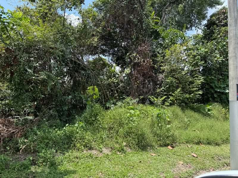 Agricultural Land for Sale in Johor Bahru (Johor) - Kelly Wai - Exterior - PropertyGuru.com.my