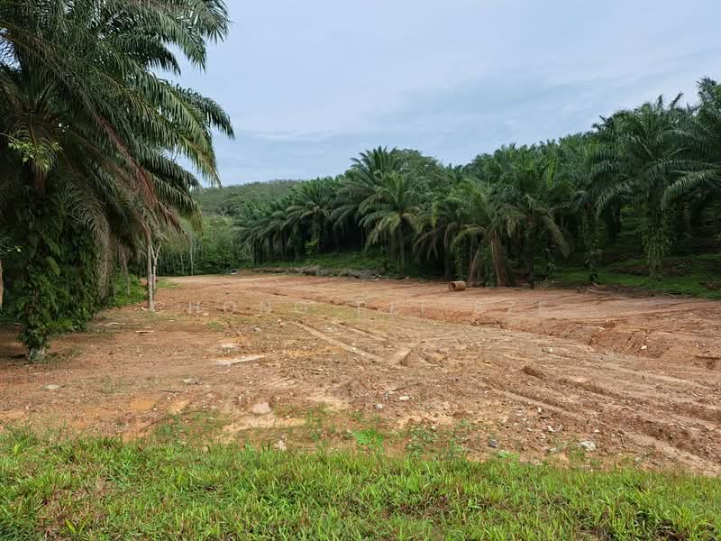 Agricultural Land for Sale in Bandar Ekar Rantau (Rantau) - Chong Pei Sze - Exterior - PropertyGuru.com.my