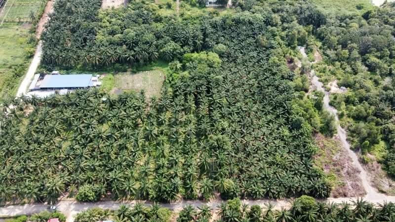 Tanah Pertanian untuk Dijual di Dengkil (Selangor) - Azizirrahim . - Exterior - PropertyGuru.com.my