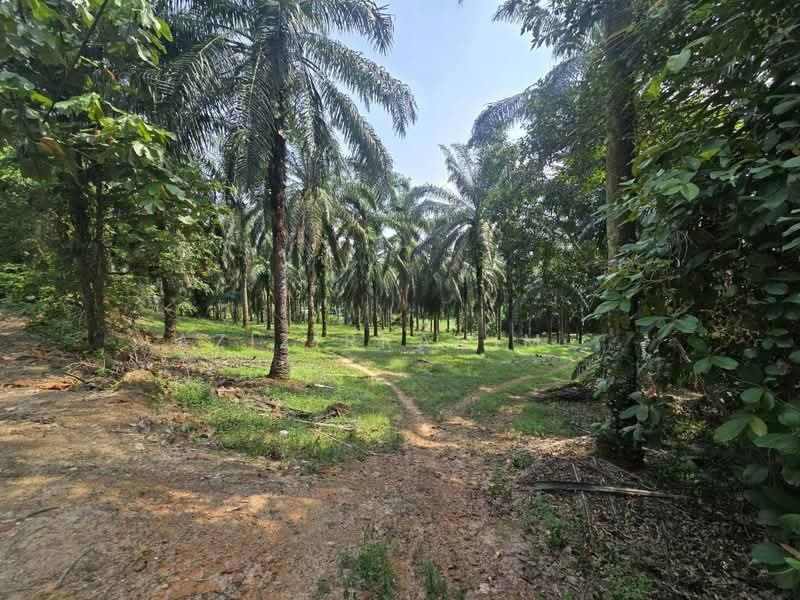 Tanah Pertanian untuk Dijual di Dengkil (Selangor) - Azizirrahim . - Exterior - PropertyGuru.com.my