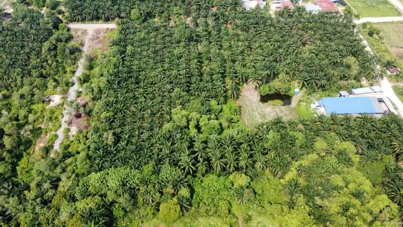 Tanah Pertanian untuk Dijual di Dengkil (Selangor) - Azizirrahim . - Exterior - PropertyGuru.com.my