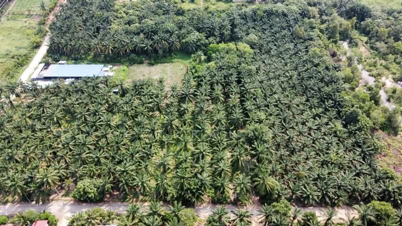 Tanah Pertanian untuk Dijual di Dengkil (Selangor) - Azizirrahim . - PropertyGuru.com.my