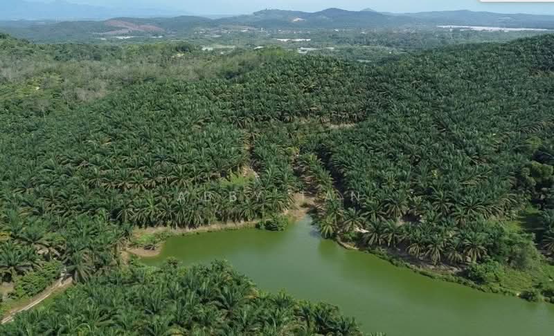 Tanah Pertanian untuk Dijual di Temoh (Perak) - Abby Tan - PropertyGuru.com.my